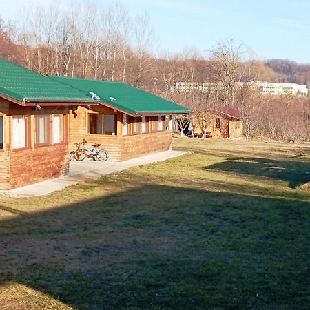 فيلا La Livada Valea Danului المظهر الخارجي الصورة