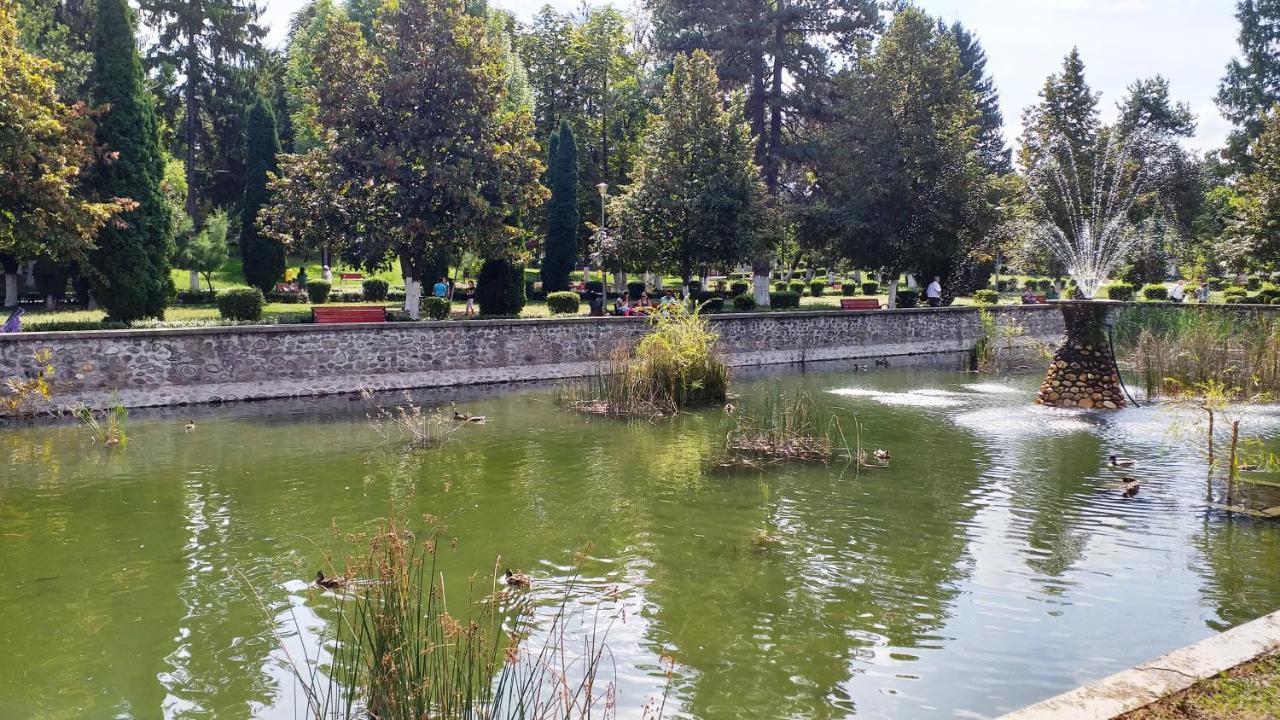 فيلا La Livada Valea Danului المظهر الخارجي الصورة